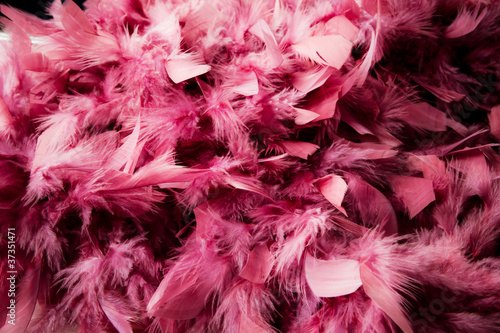 pink feather