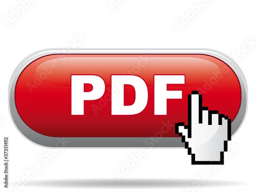 PDF ICON