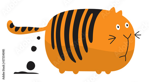 Fat shitting cat
