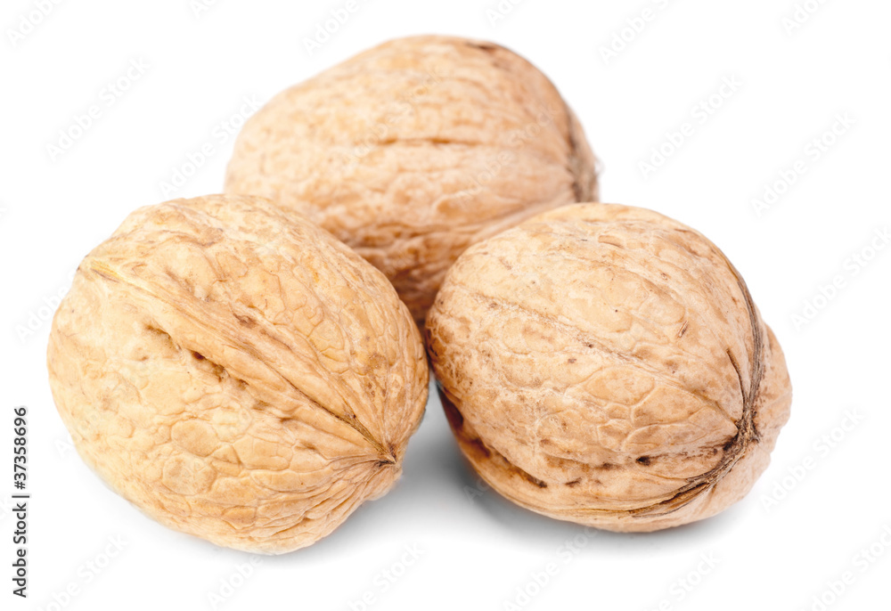 walnuts isolated on a white background walnuts isolated on a white background