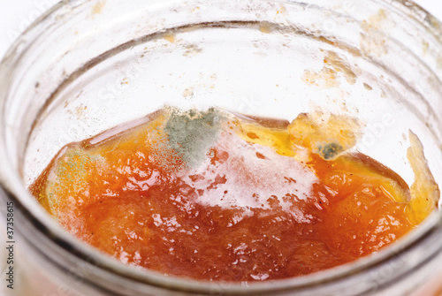 Photography Macro shot of green-grey mold growing in jam-jar