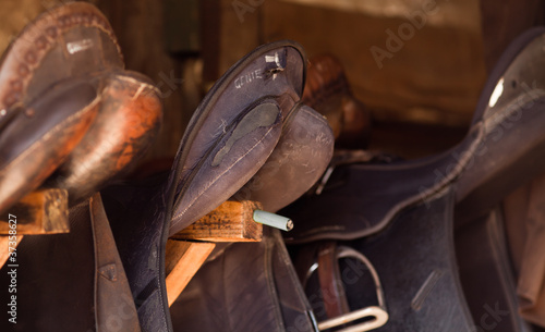 Photos Saddles Lined-Up in a Tack Room