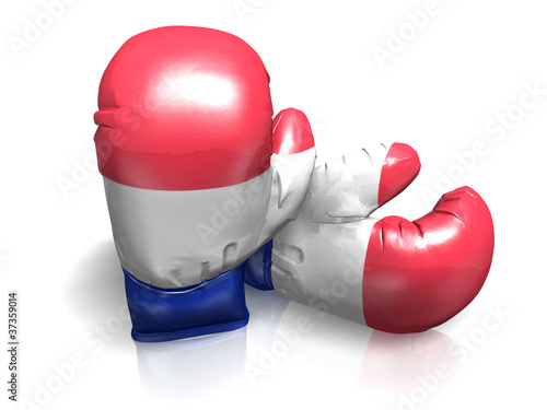 BOXING GLOVES FRANCE