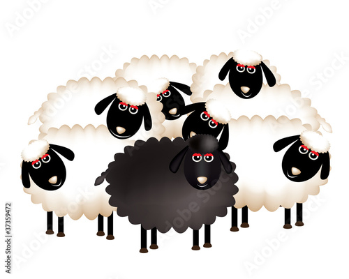 Group_of_white_and_black_sheep