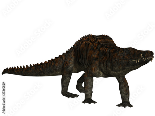 Uberabasuchus terrificus- 3D Dinosaurier © Andreas Meyer