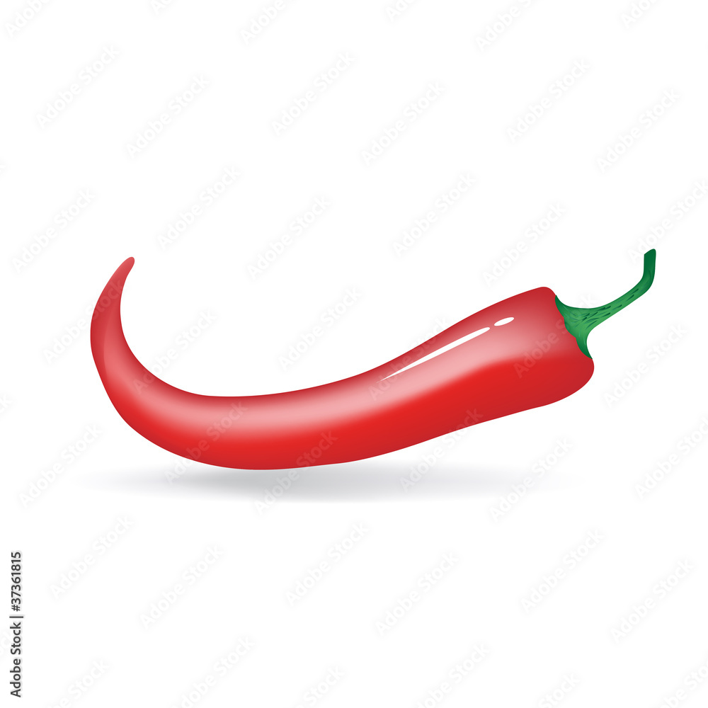 Vector red chili Vector red chili