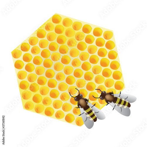 Vector - working bees on honeycomb