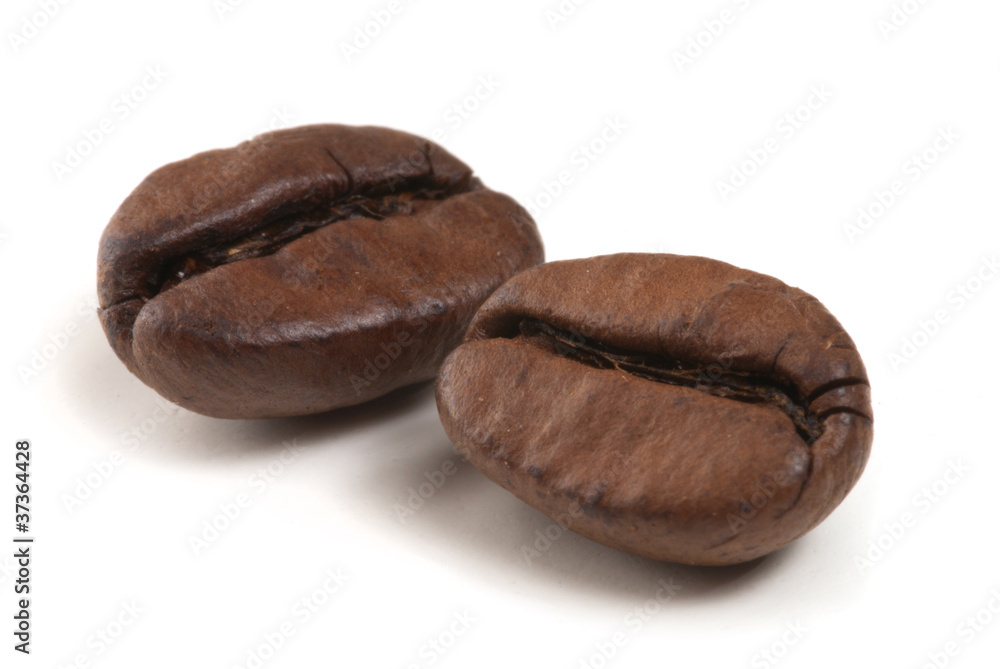 two coffee grains two coffee grains