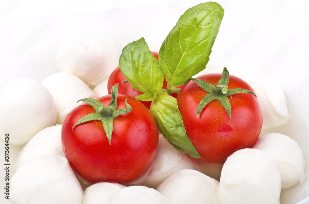 Tomato and little mozzarella on white Tomato and little mozzarella on white