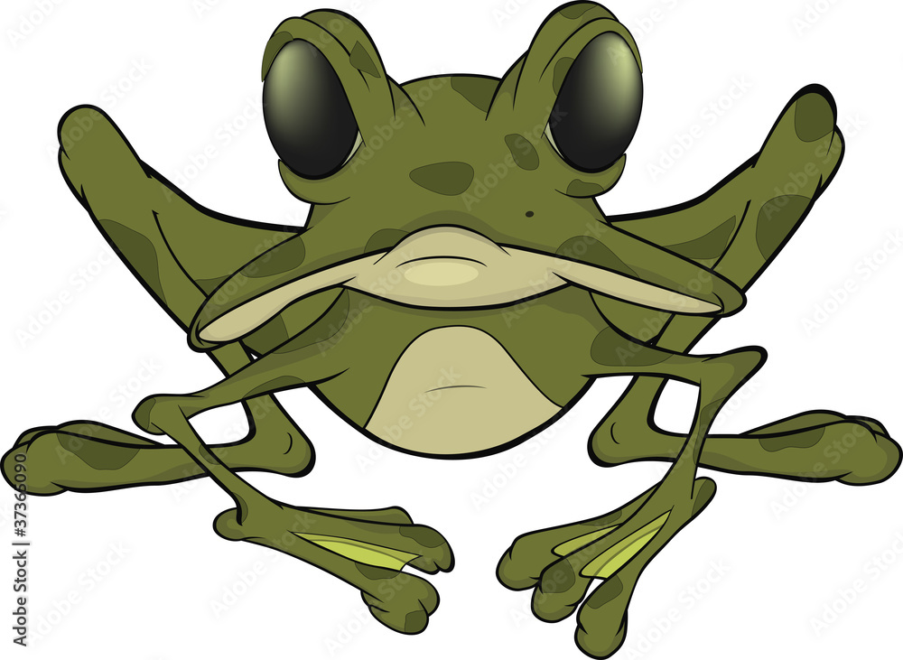 Fototapeta premium The big green frog. Cartoon