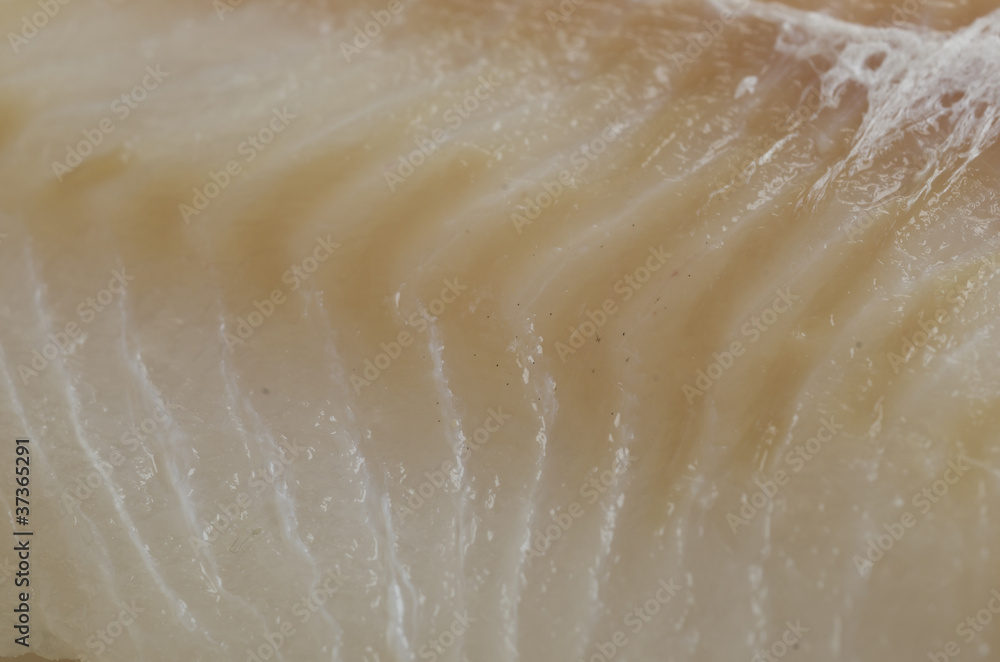 Fresh raw cod fillet