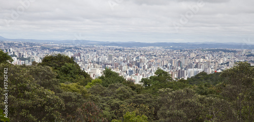 City landscape behing forest.