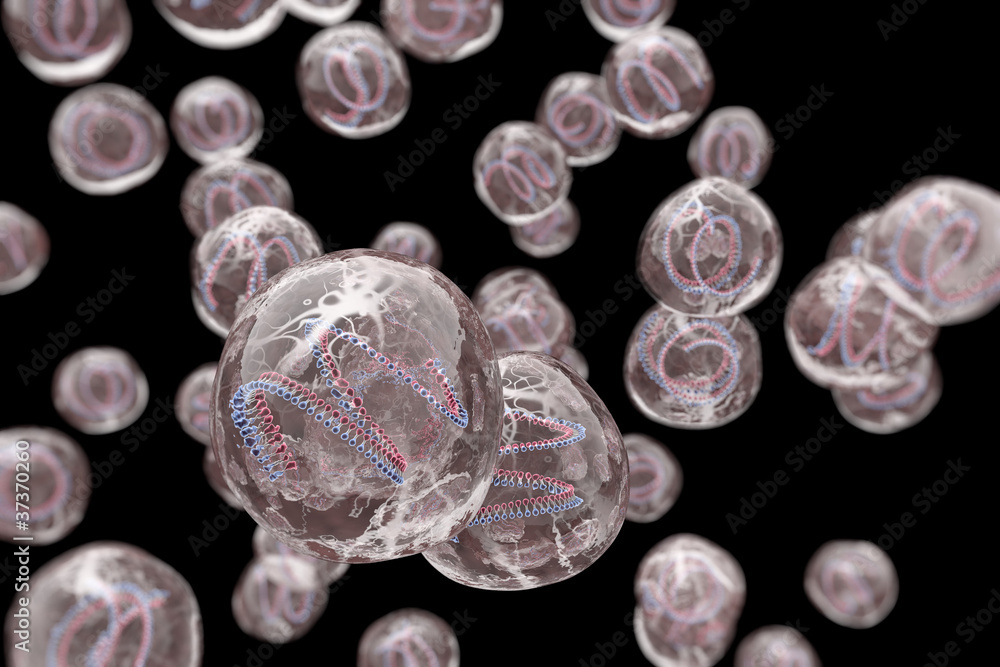 Fotografia The genetic code