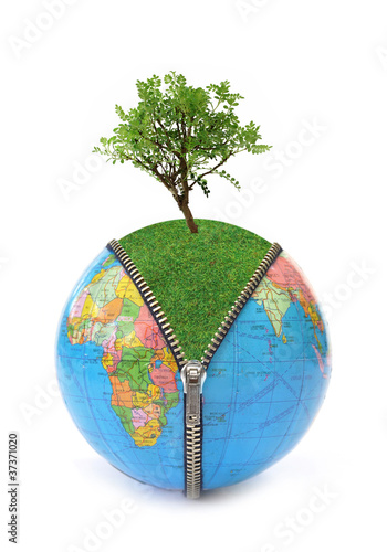 Tree and globe