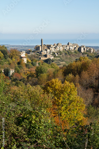 village de haute corse (venzolasca)