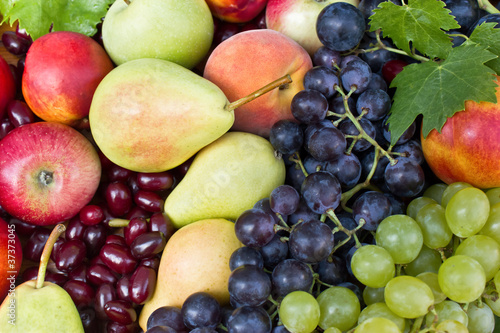 Handful of different fresh fruit