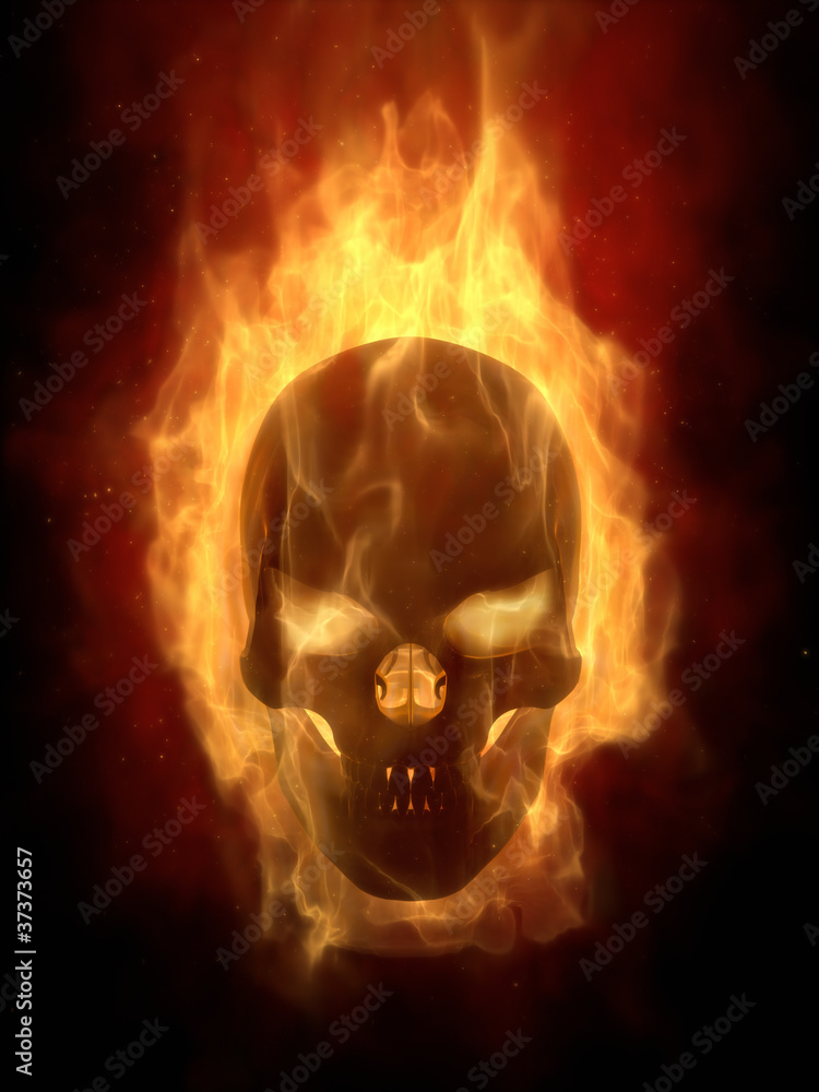Burning skull in hot flame Burning skull in hot flame