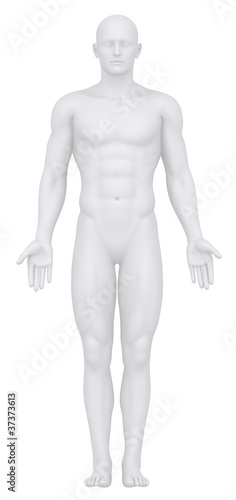 White male isolated in anatomical position - no genitals
