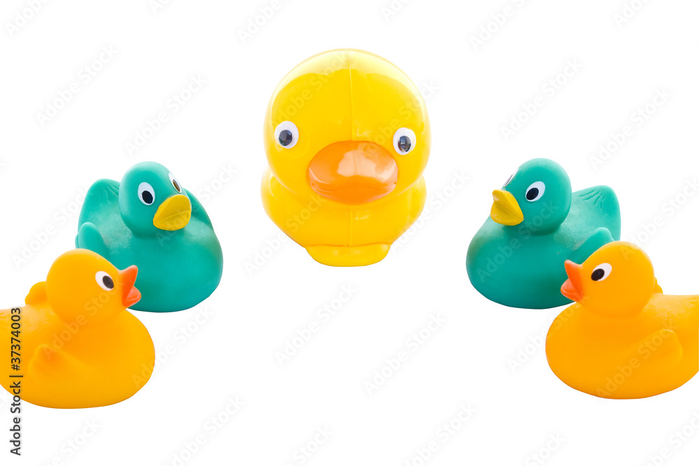 Toy ducks Toy ducks