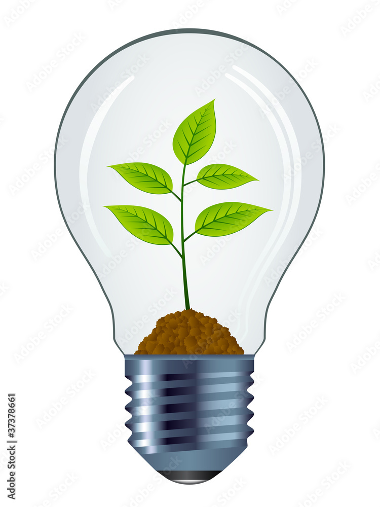 vector eco bulb isolated vector eco bulb isolated