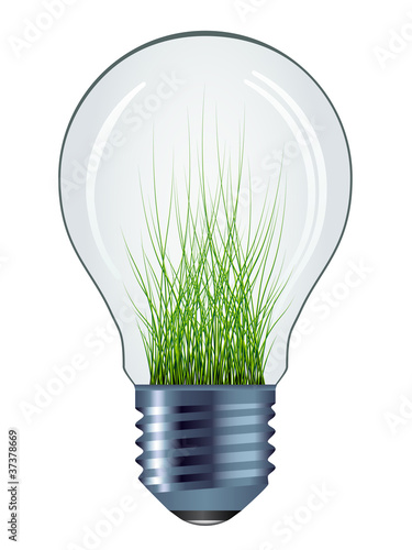 vector eco bulb isolated