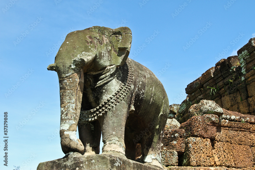 Fototapeta premium stone elephant