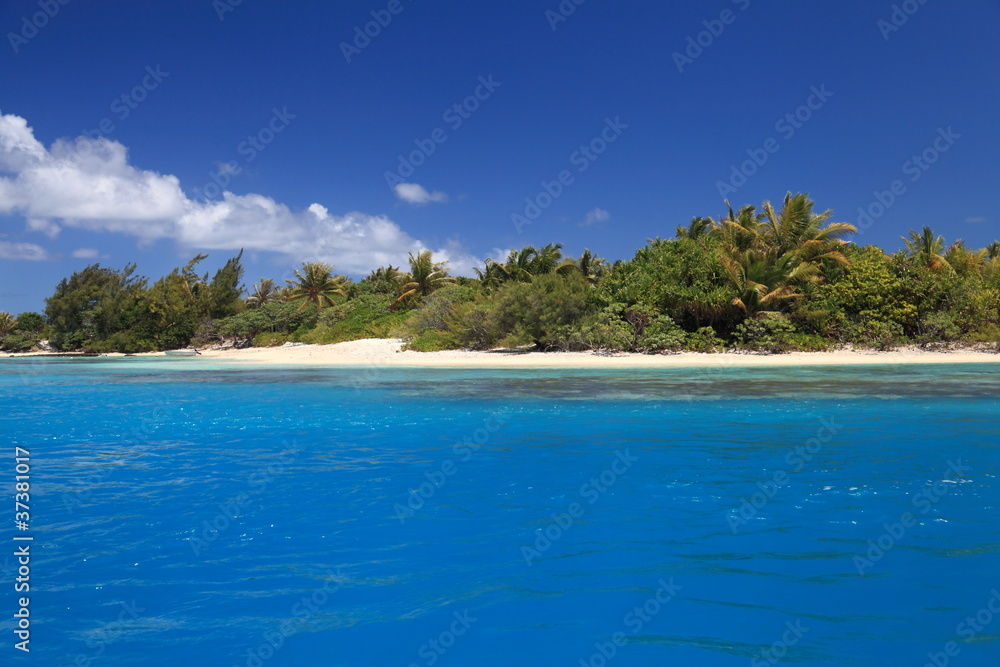 Beach with Coconut Trees in Perfect Blue Lagoon of Maupiti, French Polynesia.