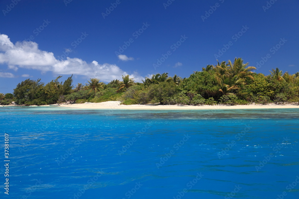 Beach with Coconut Trees in Perfect Blue Lagoon of Maupiti, French Polynesia. Beach with Coconut Trees in Perfect Blue Lagoon of Maupiti, French Polynesia.