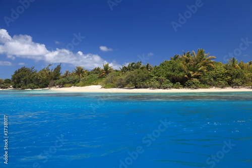 Fototapeta Naklejka Na Ścianę i Meble -  Beach with Coconut Trees in Perfect Blue Lagoon of Maupiti, French Polynesia.