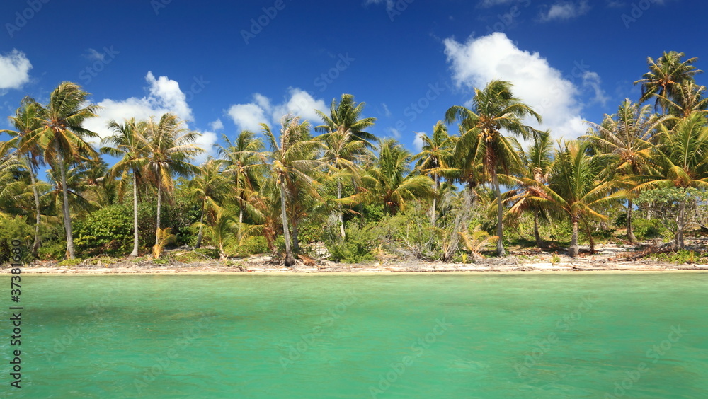 Dreamlike Island in the South Pacific with Coconut Trees and Turquoise Water.