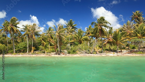 Dreamlike Island in the South Pacific with Coconut Trees and Turquoise Water.