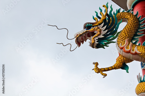 Chinese dragon © petgunezock