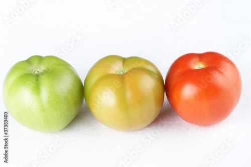 Three tomatoes of different maturity