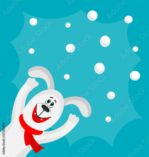 Grey dog and snowballs