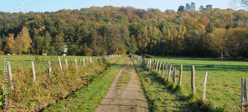 Saint Lambert des Bois dans les Yvelines photo