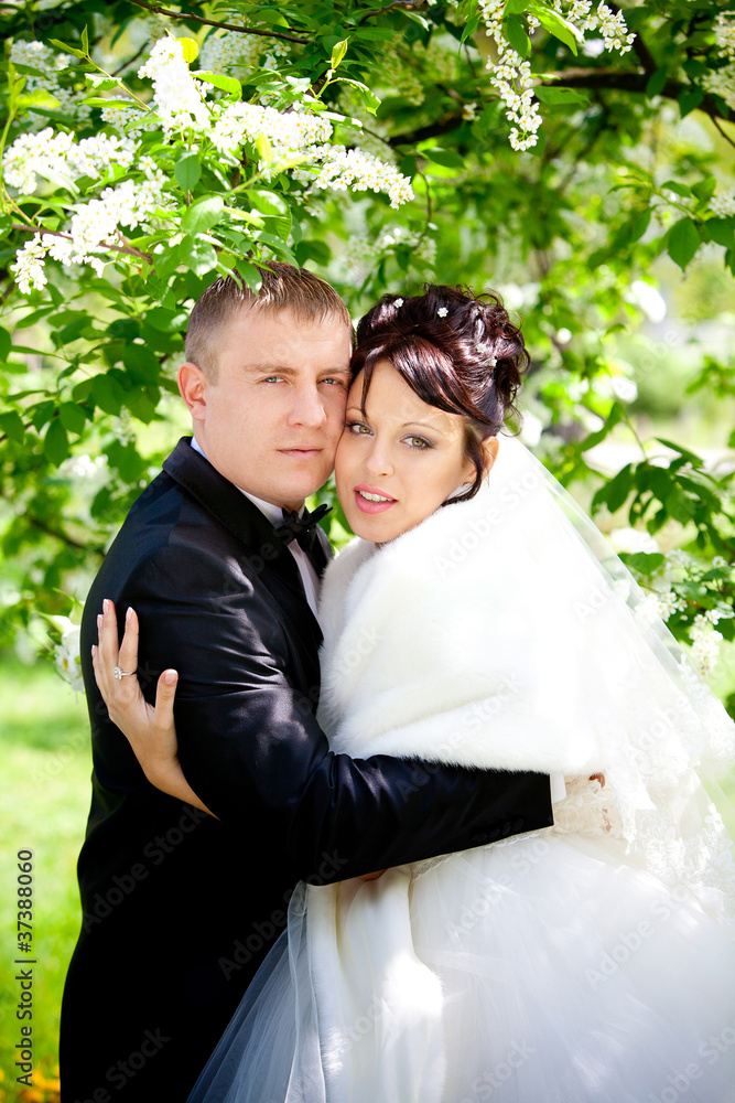 Bride and groom Bride and groom
