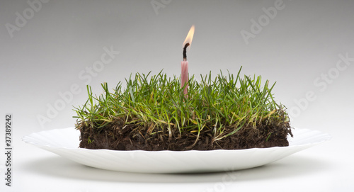 grass on dish with candle
