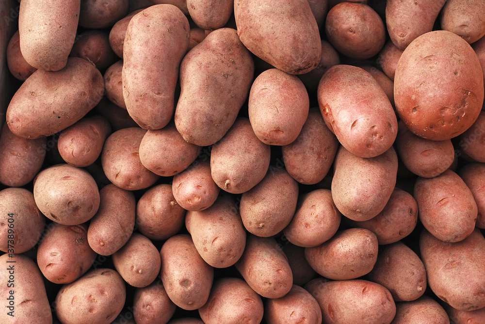 potatoes potatoes