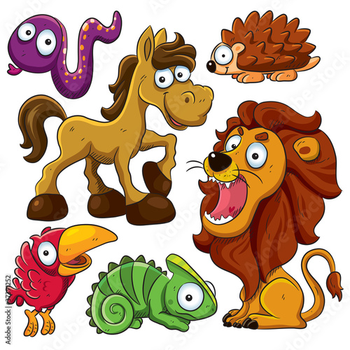 Animals Collection