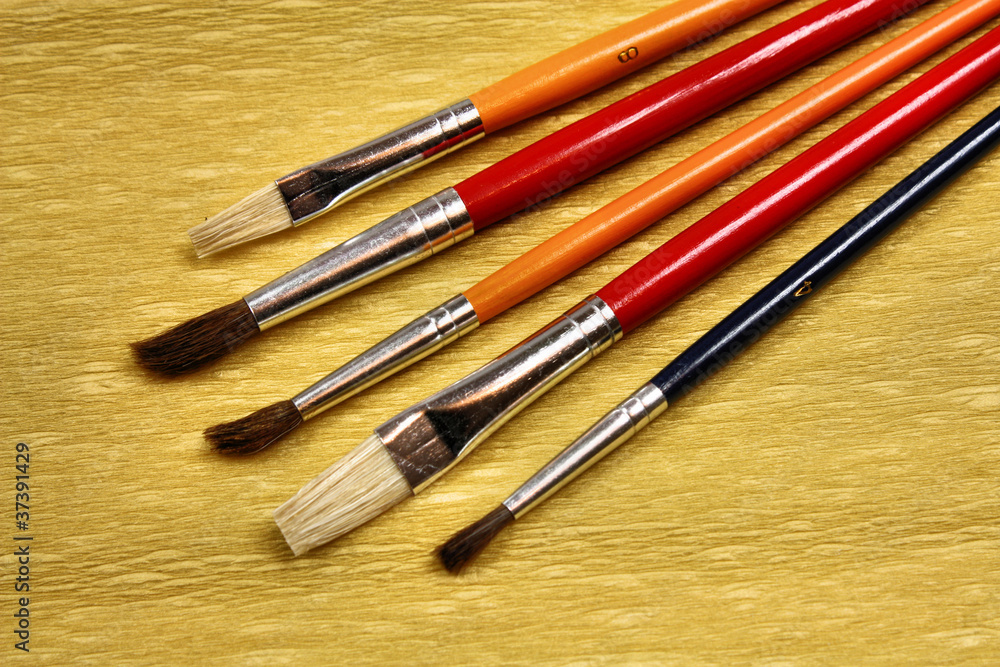 Fototapeta premium Brushes