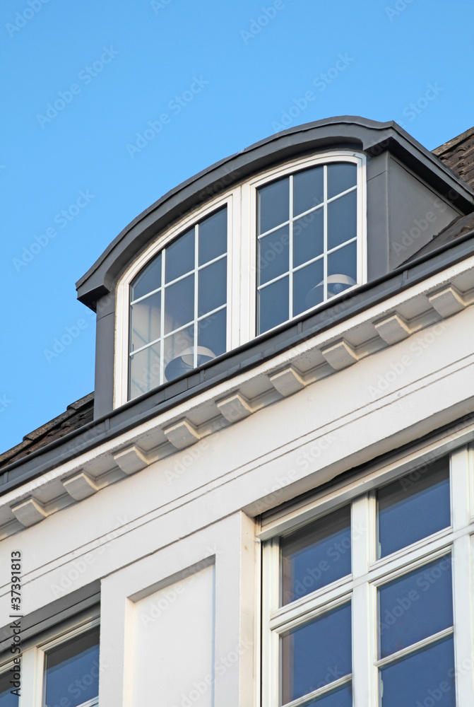 Obraz premium Dachgaube Hochformat