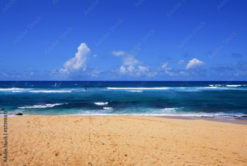 Tropical Beach in Hawaii