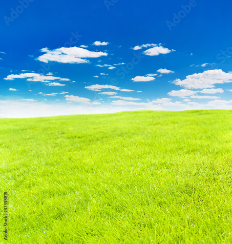 green meadow under nice sky