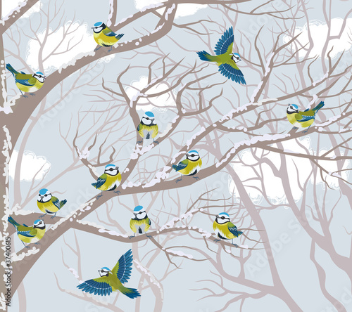 Flock of blue tits perching on branches of trees