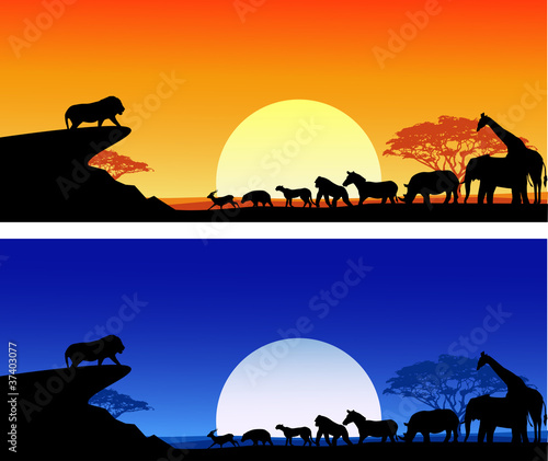 Safari background silhouette