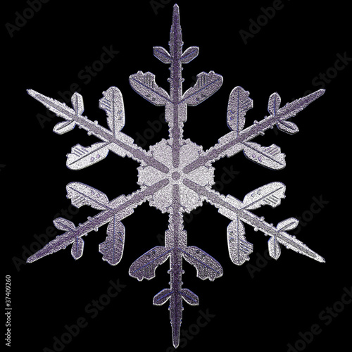 3d isolated snowflake