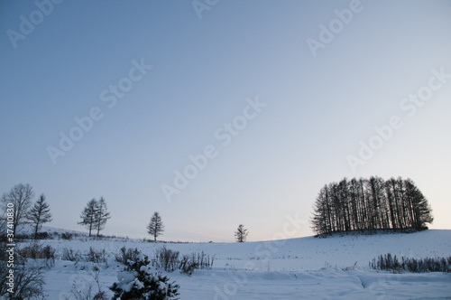 Wallpaper Mural 雪原の林 Torontodigital.ca