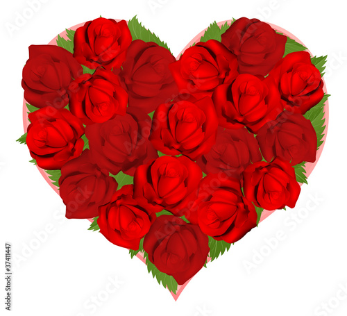 Beautiful red roses in hear...