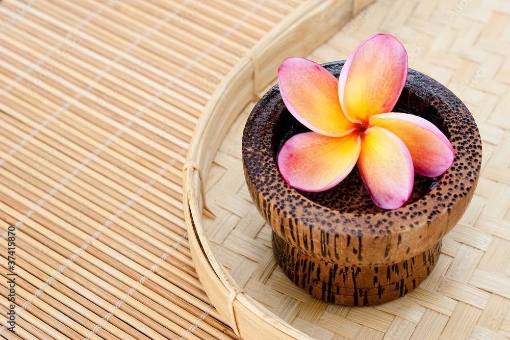 Tropical Plumeria in wooden bowl for spa and wellness concept