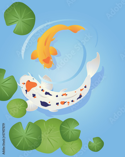 koi
